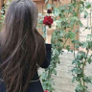 Meet your Posher, Bavan